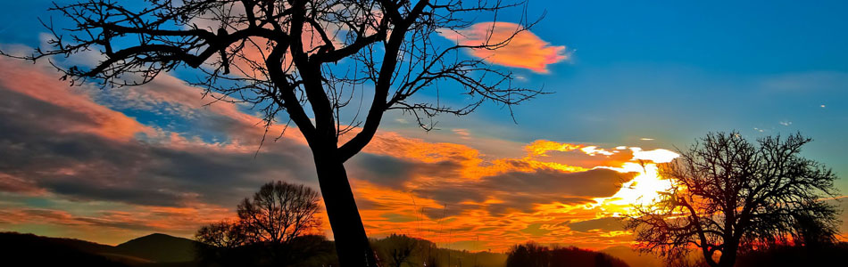 防封号外呼软件