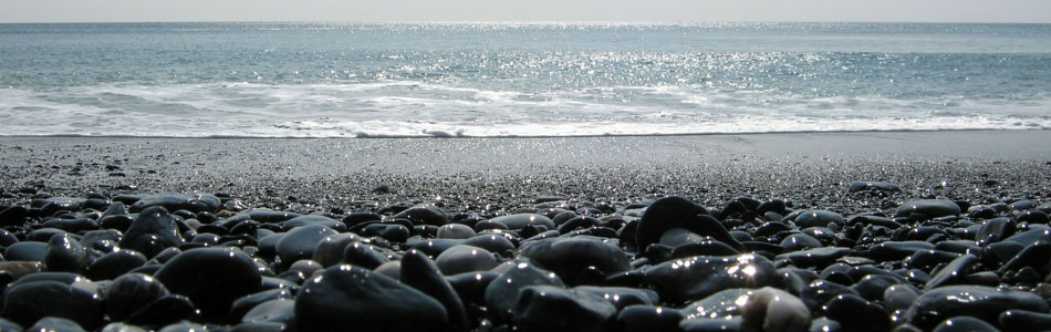 短信轰机轰炸app下载安卓手机