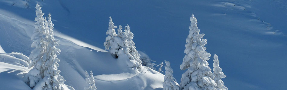 手机号自动轰炸